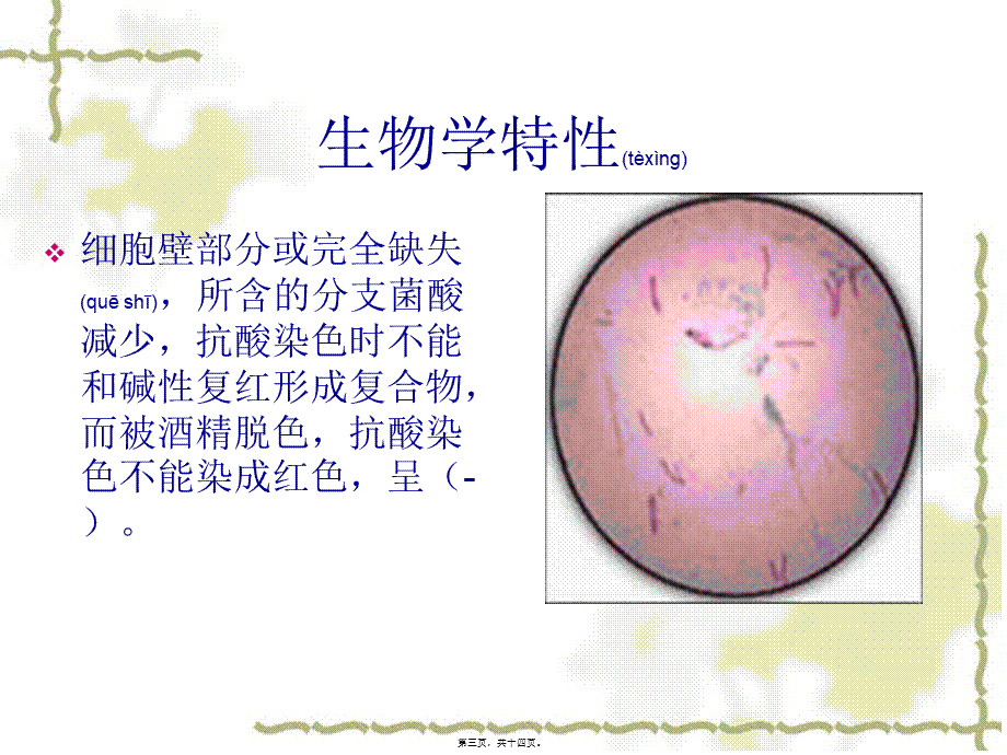 2022年医学专题—L型结核病(1).ppt_第3页