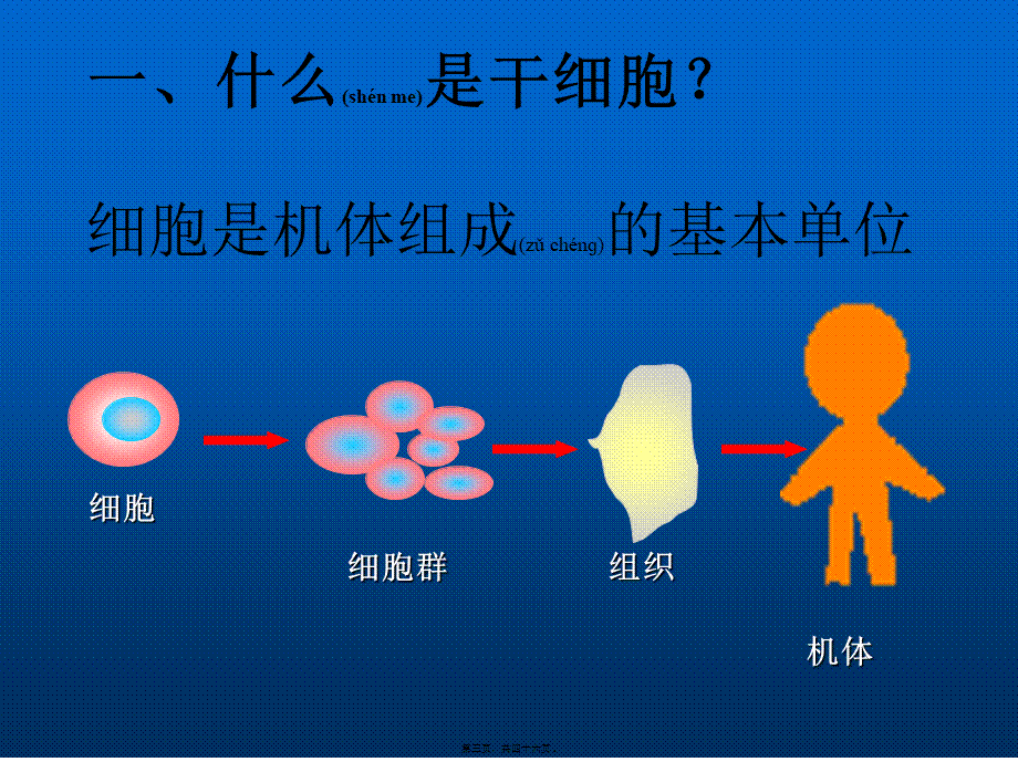 2022年医学专题—第三章干细胞研究进展-(S版)(1).ppt_第3页