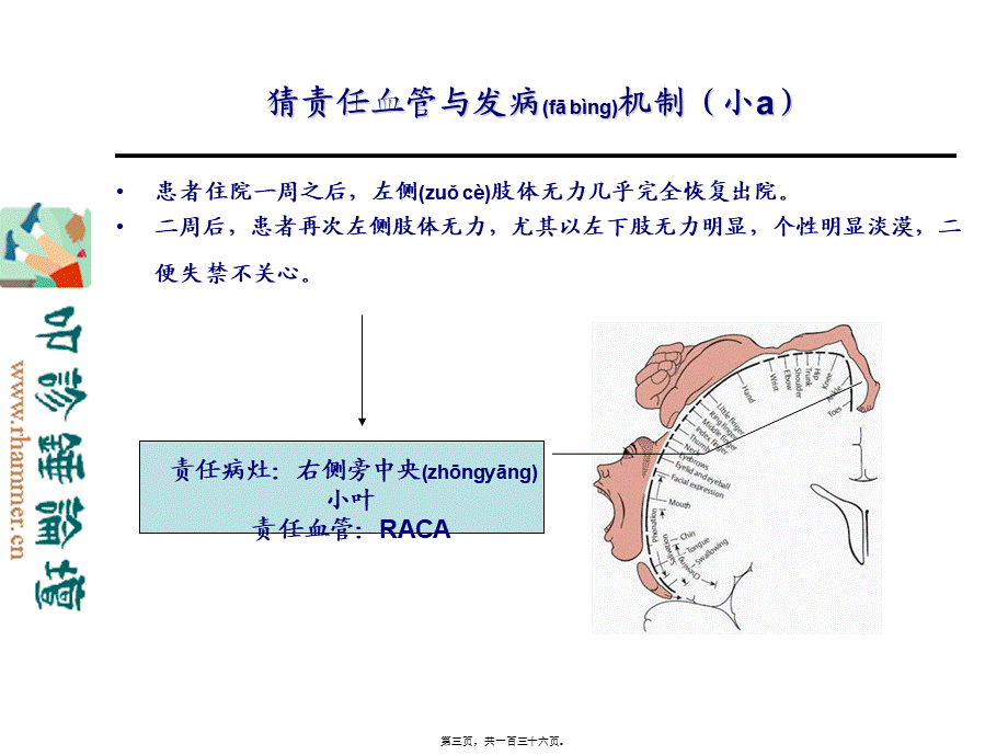 2022年医学专题—从影像学梗死部位推测责任供血血管(1).ppt_第3页