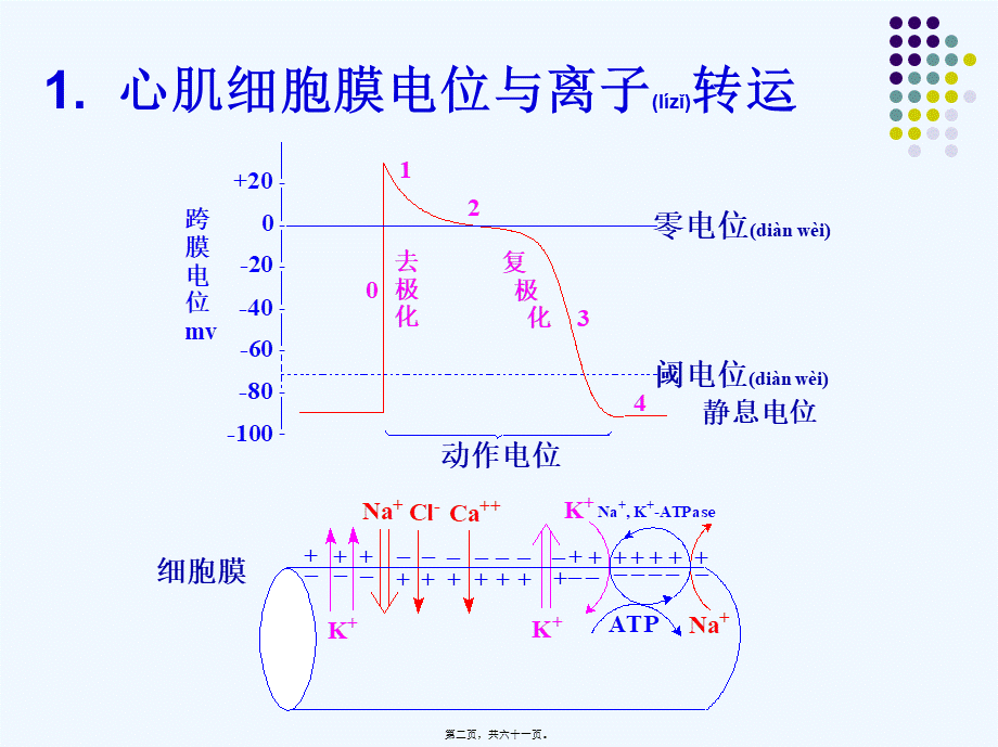 2022年医学专题—教学实践药化.ppt(1).ppt_第2页