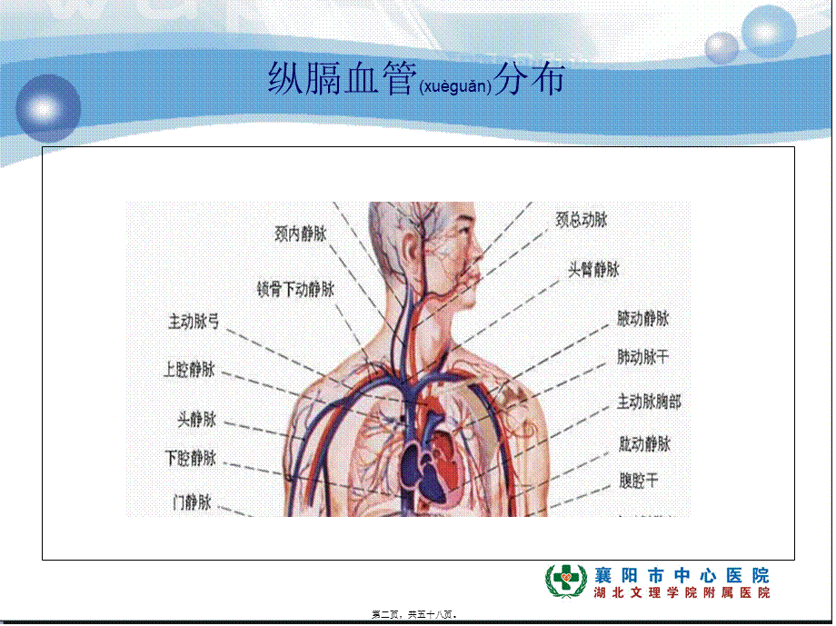 2022年医学专题—肺癌纵膈肺门淋巴结分区及CT图像(1).ppt_第2页