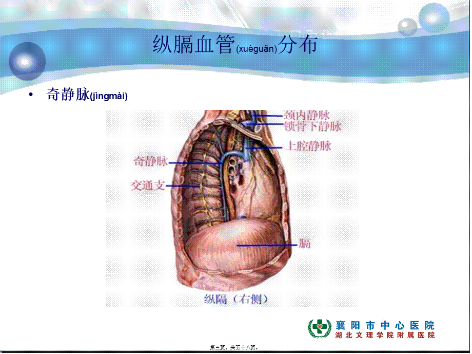 2022年医学专题—肺癌纵膈肺门淋巴结分区及CT图像(1).ppt_第3页