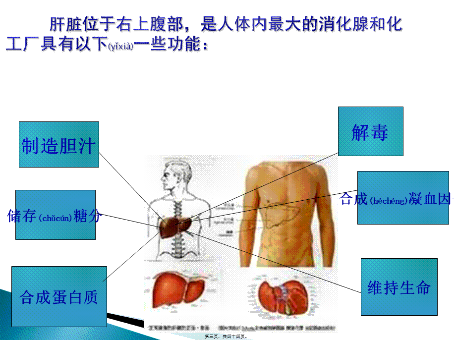 2022年医学专题—肝炎健康宣教(1).ppt_第3页