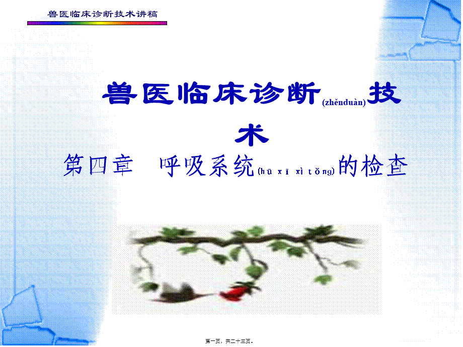 2022年医学专题—第四章--呼吸系统的检查(1).ppt_第1页