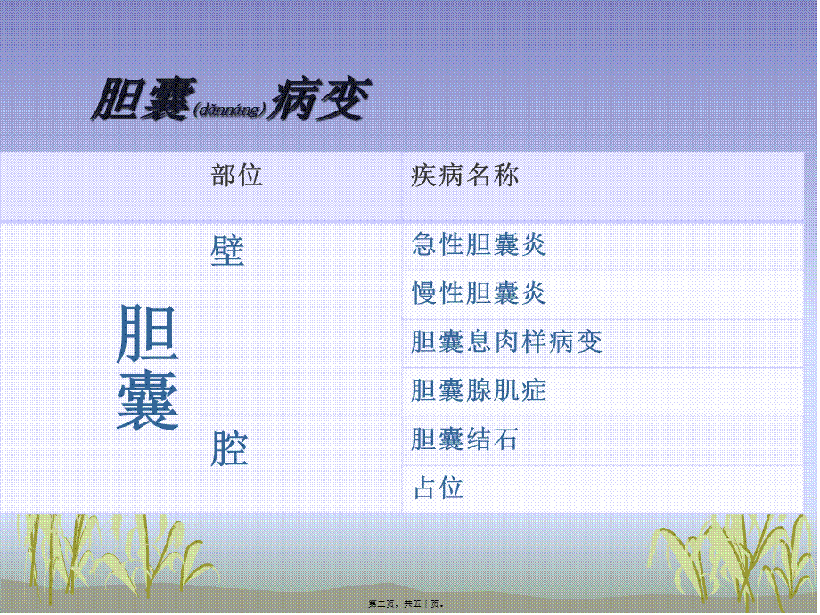 2022年医学专题—胆囊及胆管常见疾(1).ppt_第2页