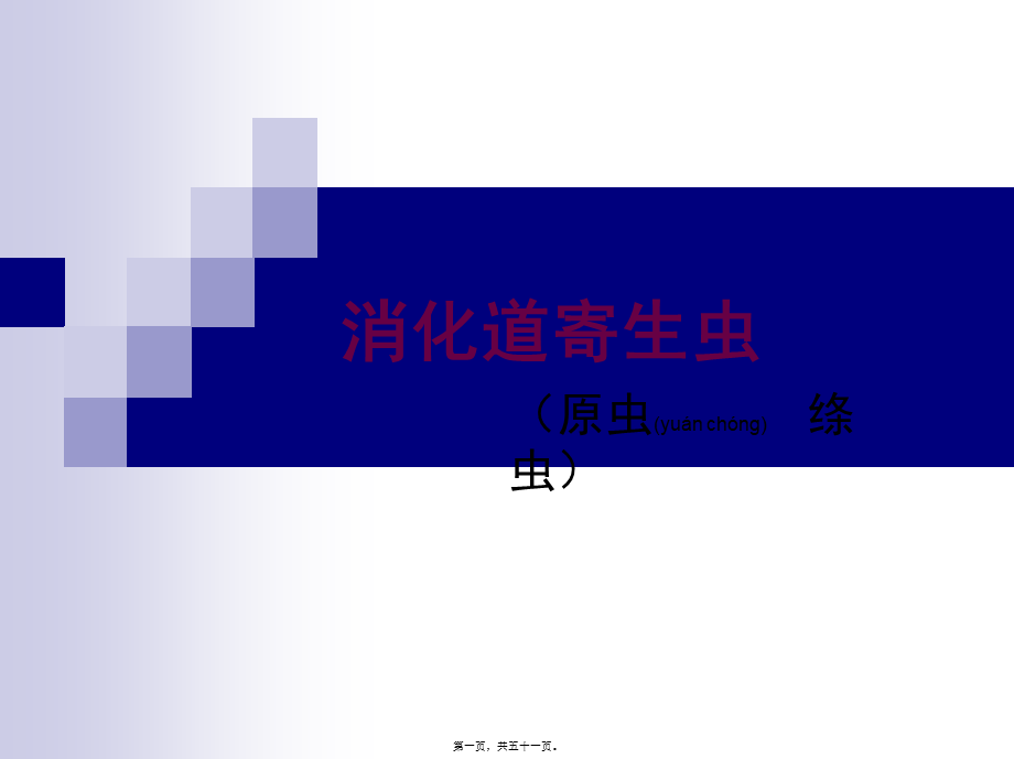 2022年医学专题—第六次形态消化道阿贾隐猪带牛带介绍(1).ppt_第1页