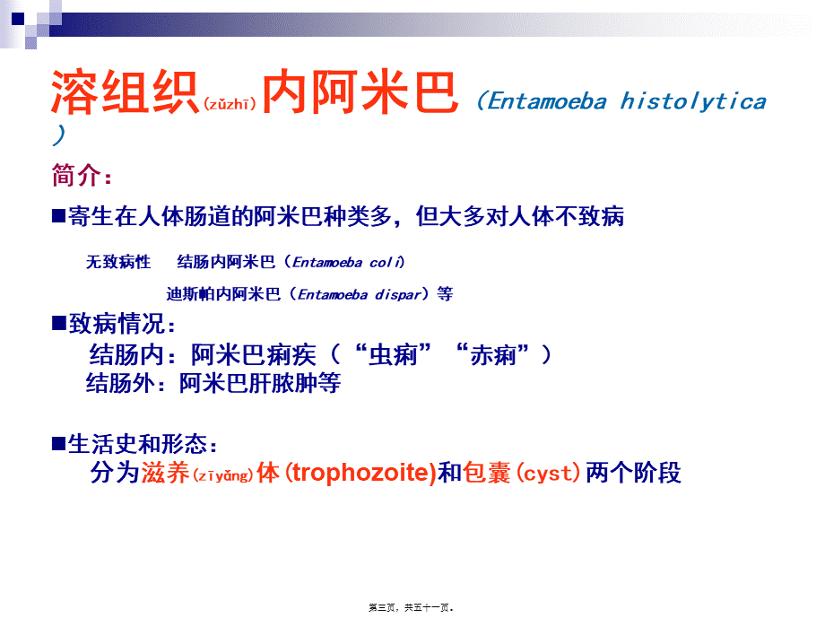 2022年医学专题—第六次形态消化道阿贾隐猪带牛带介绍(1).ppt_第3页