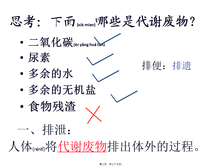 2022年医学专题—第一节--尿液机-机能关系(完整)(1).ppt_第2页