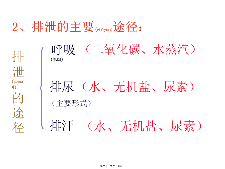 2022年医学专题—第一节--尿液机-机能关系(完整)(1).ppt_第3页