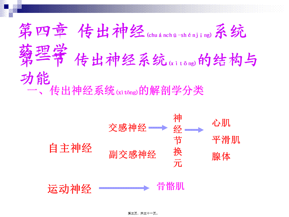 2022年医学专题—第04章-传出神经药理(1).ppt_第3页