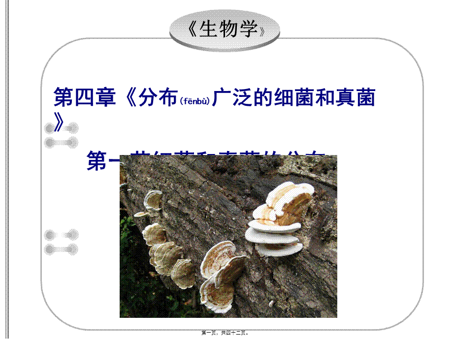 2022年医学专题—第一节++细菌和真菌的分布+++41PPT(1).ppt_第1页