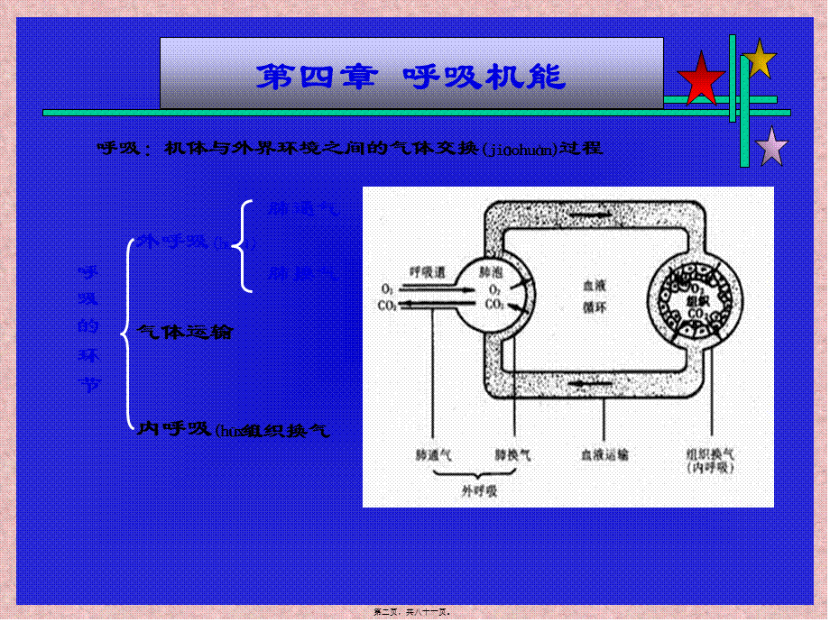 2022年医学专题—呼吸机能资料(1).ppt_第2页