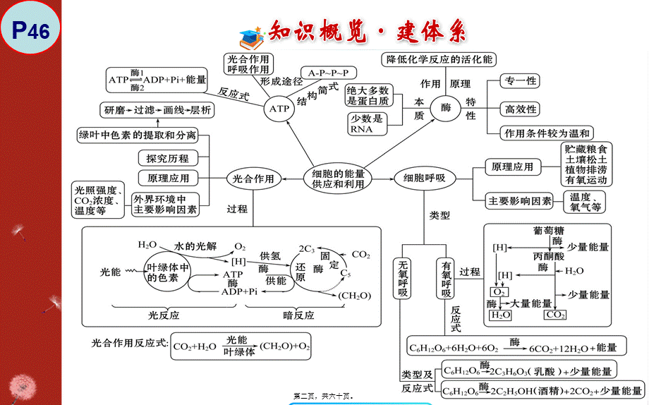 2022年医学专题—必修1-细胞的能量供应和利用(1).ppt_第2页