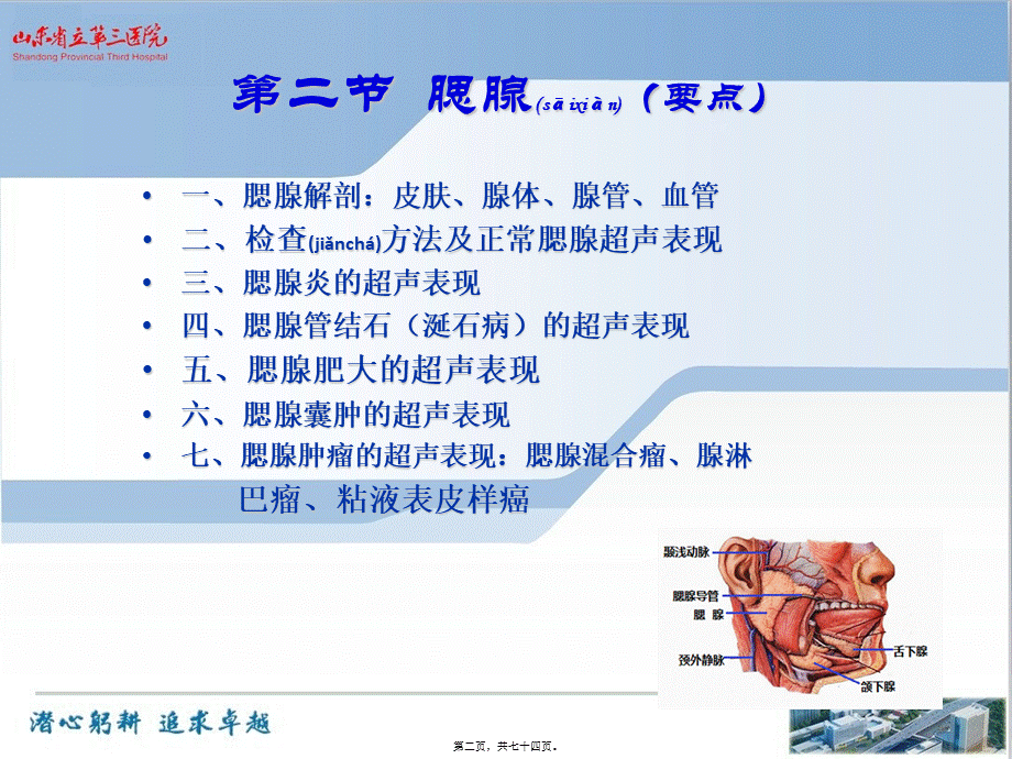 2022年医学专题—第十九章-浅表器官-涎腺、甲状腺、甲状旁腺超声[1](1).ppt_第2页