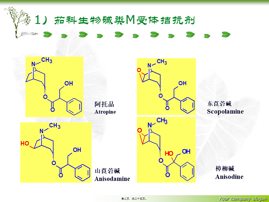 2022年医学专题—胆碱受体拮抗剂(1).ppt_第2页