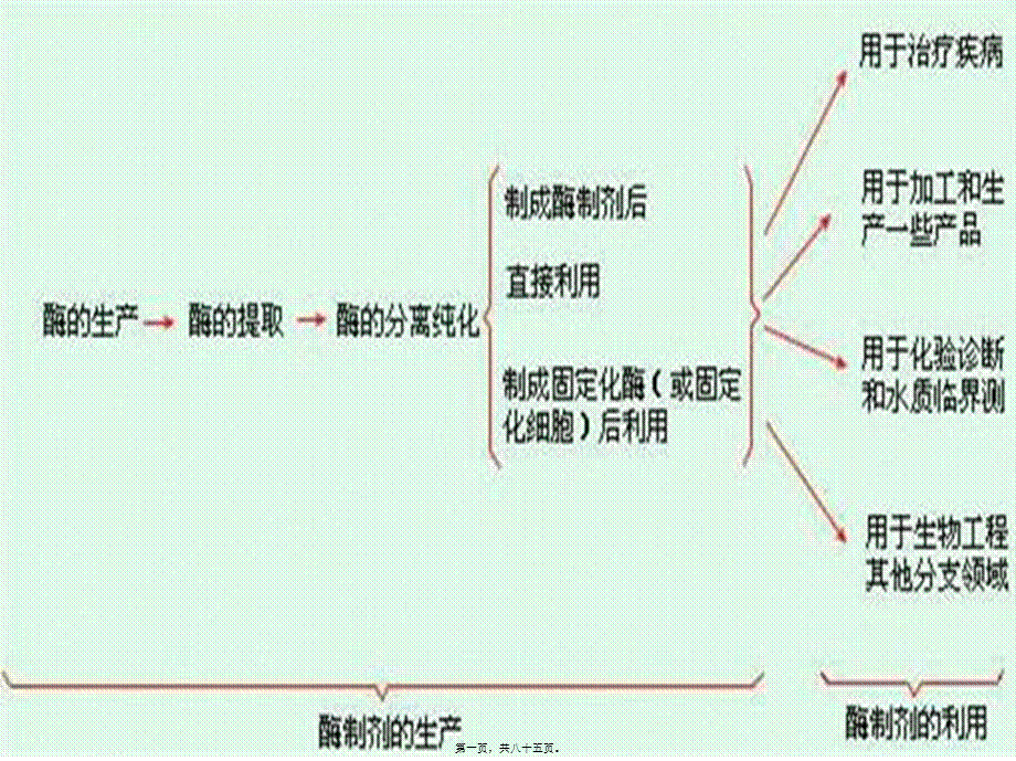 2022年医学专题—酶、细胞、原生质体固定化(1).ppt_第1页