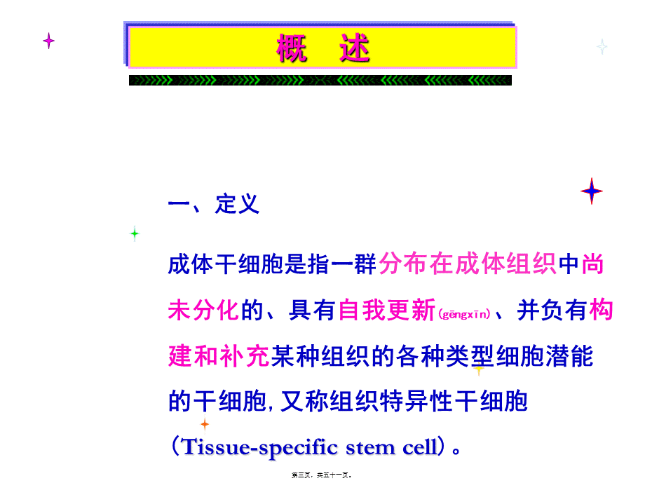 2022年医学专题—干细胞-成体干细胞.(1).ppt_第3页