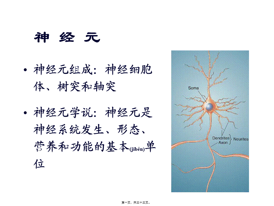 2022年医学专题—脑结构(1).ppt_第1页