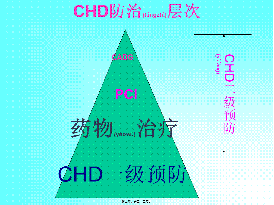 2022年医学专题—CHD合理用药及误区(1).ppt_第2页