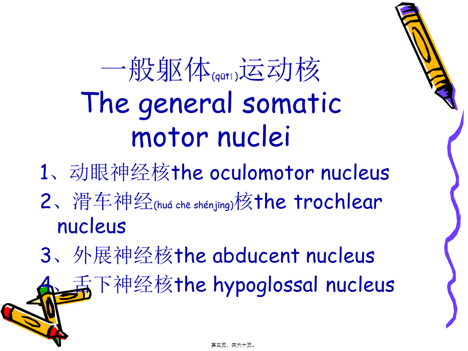 2022年医学专题—脑干的内部结构(1).ppt_第3页