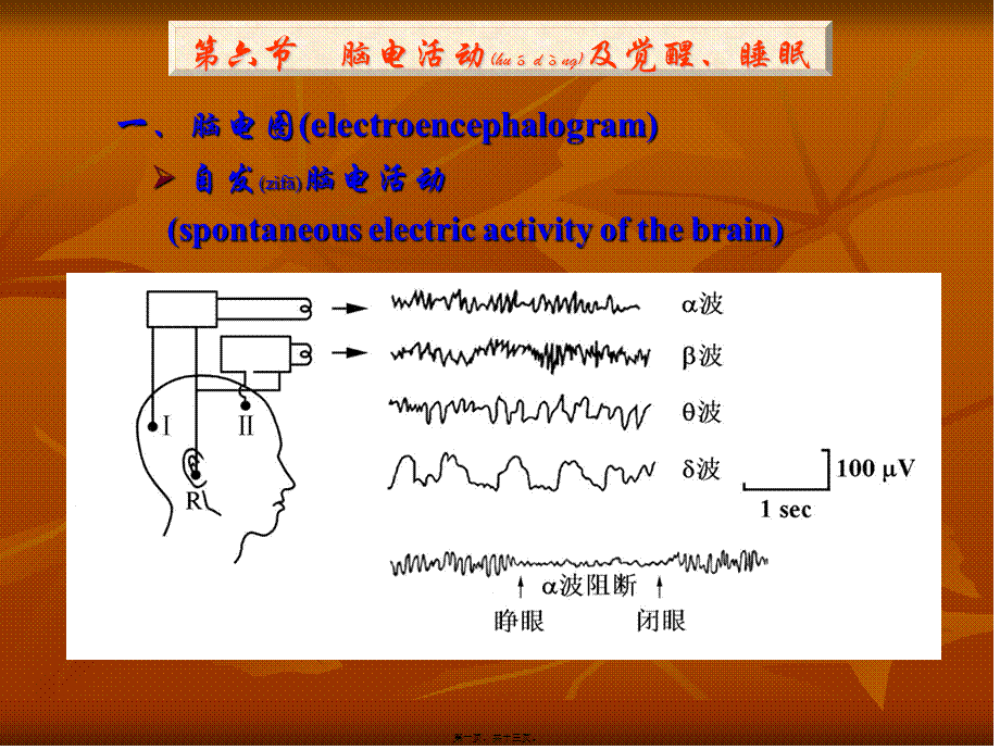 2022年医学专题—神经系统77大全(1).ppt_第1页