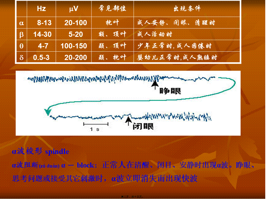 2022年医学专题—神经系统77大全(1).ppt_第2页