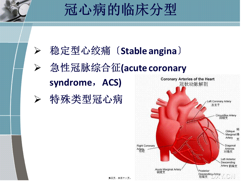 冠心病常用的辅助检查(1).pptx_第3页