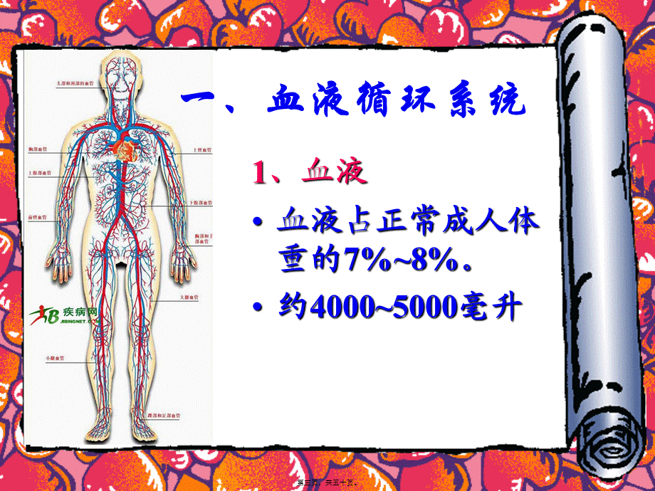 人体八大系统——循环系统(1).pptx_第3页