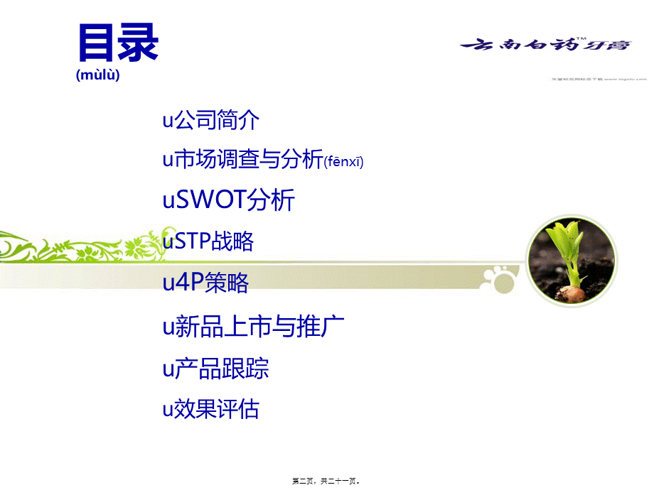 2022年医学专题—云南白药牙膏新品上市PPT.综述(1).ppt_第2页