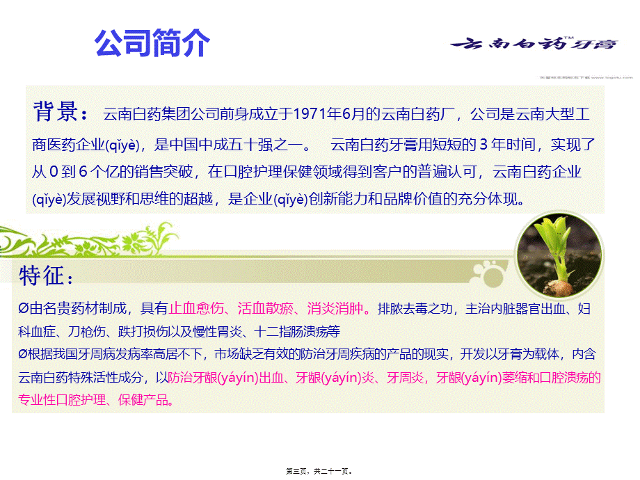 2022年医学专题—云南白药牙膏新品上市PPT.综述(1).ppt_第3页