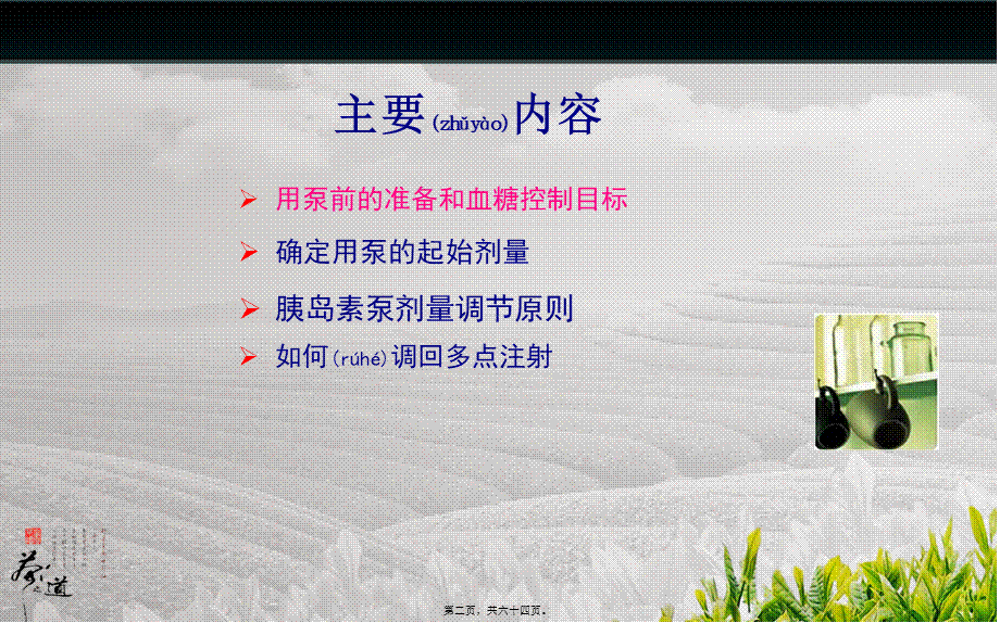 2022年医学专题—胰岛素泵剂量调节(全)(1).ppt_第2页