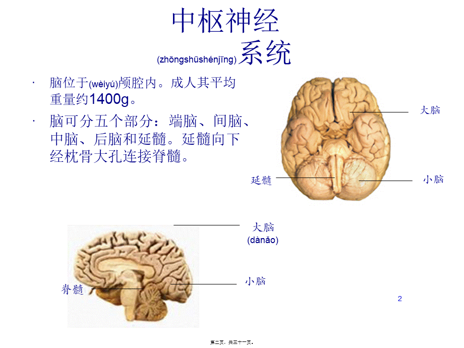 2022年医学专题—偏瘫并发症的处理(1).ppt_第2页