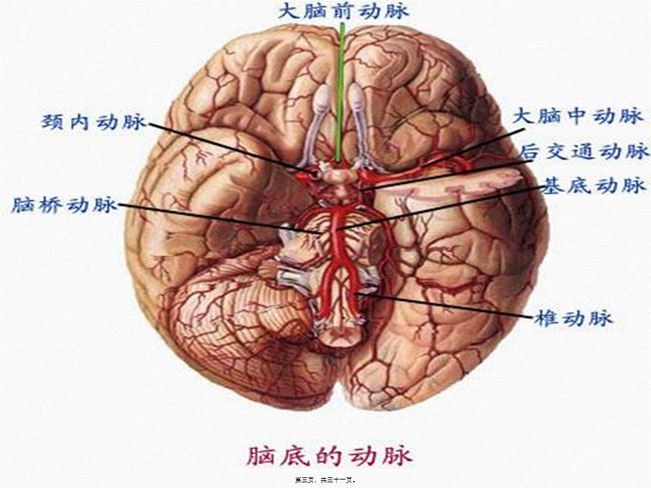 2022年医学专题—偏瘫并发症的处理(1).ppt_第3页