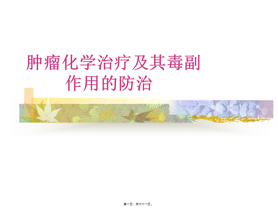 化疗副作用的防治(1).pptx_第1页