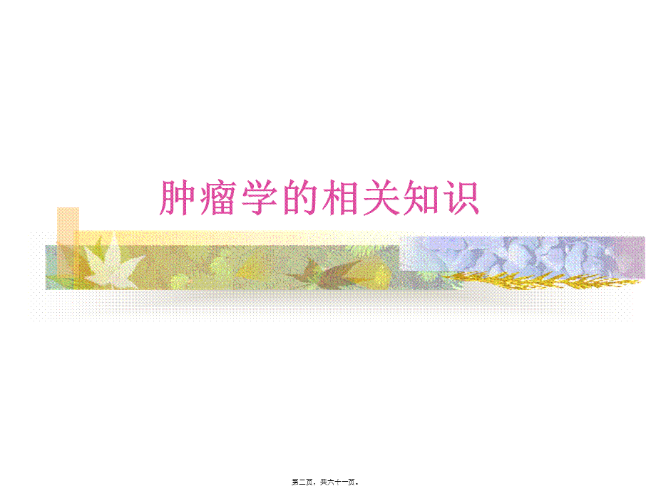 化疗副作用的防治(1).pptx_第2页