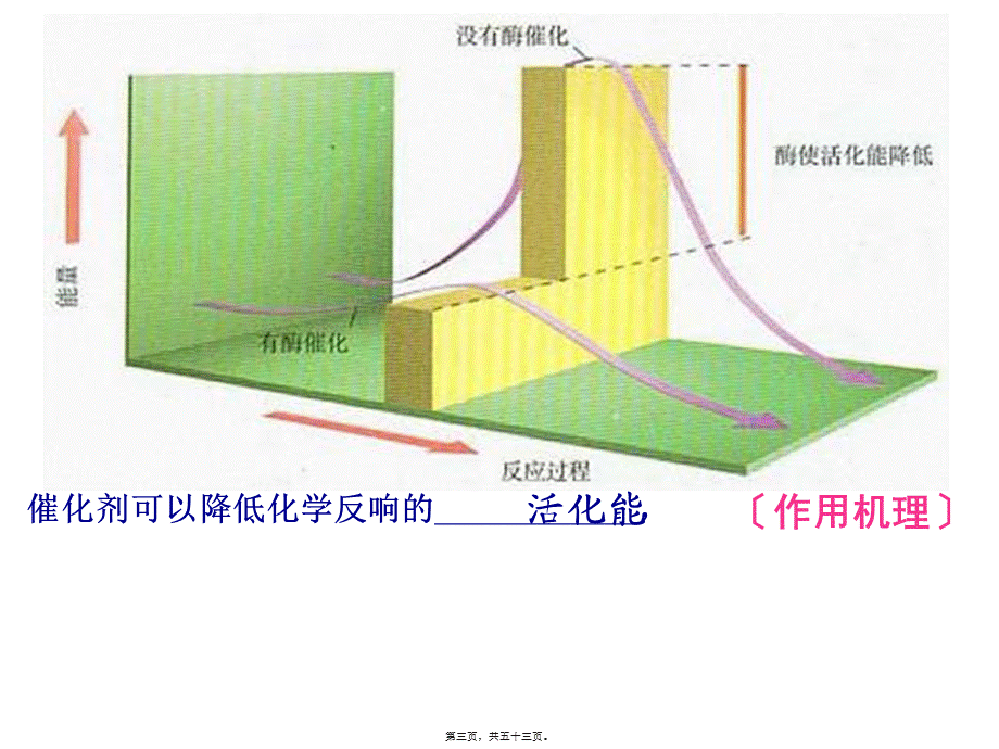 复习5-细胞的能量供应和利用(1).pptx_第3页