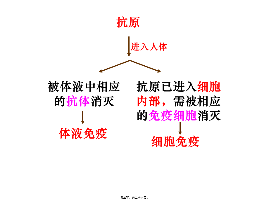 体液免疫与细胞免疫中图版(1).pptx_第3页