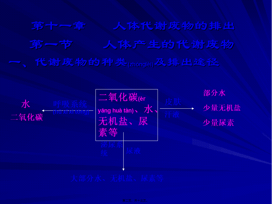 2022年医学专题—人体产生的代谢废物(1).ppt_第2页