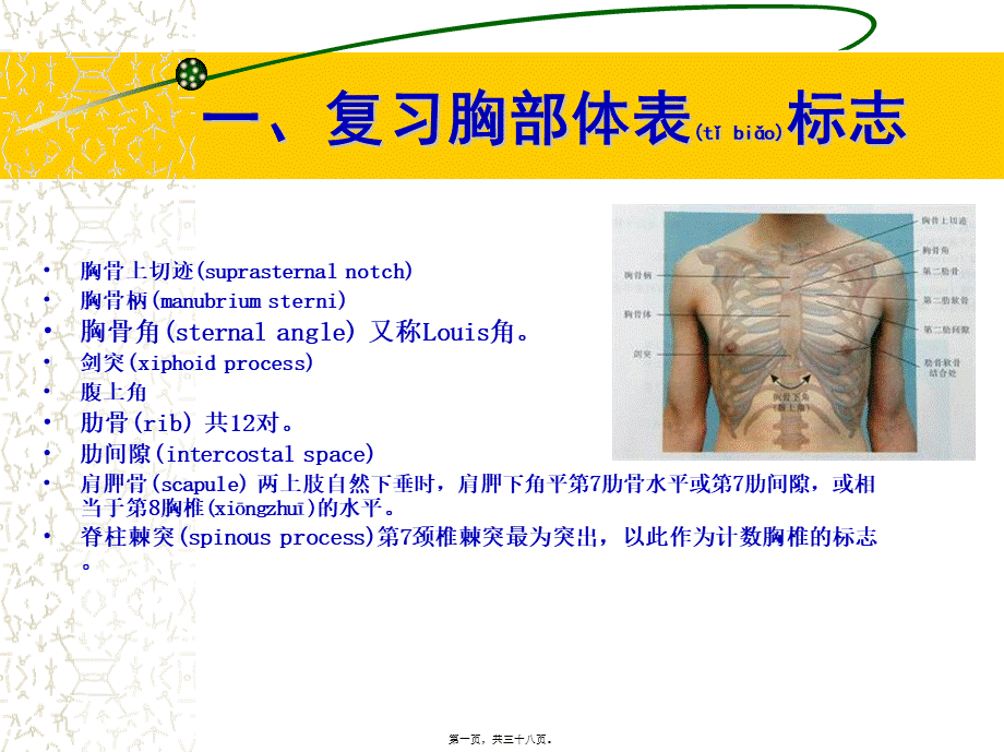 2022年医学专题—胸部体格检查(1).ppt_第1页