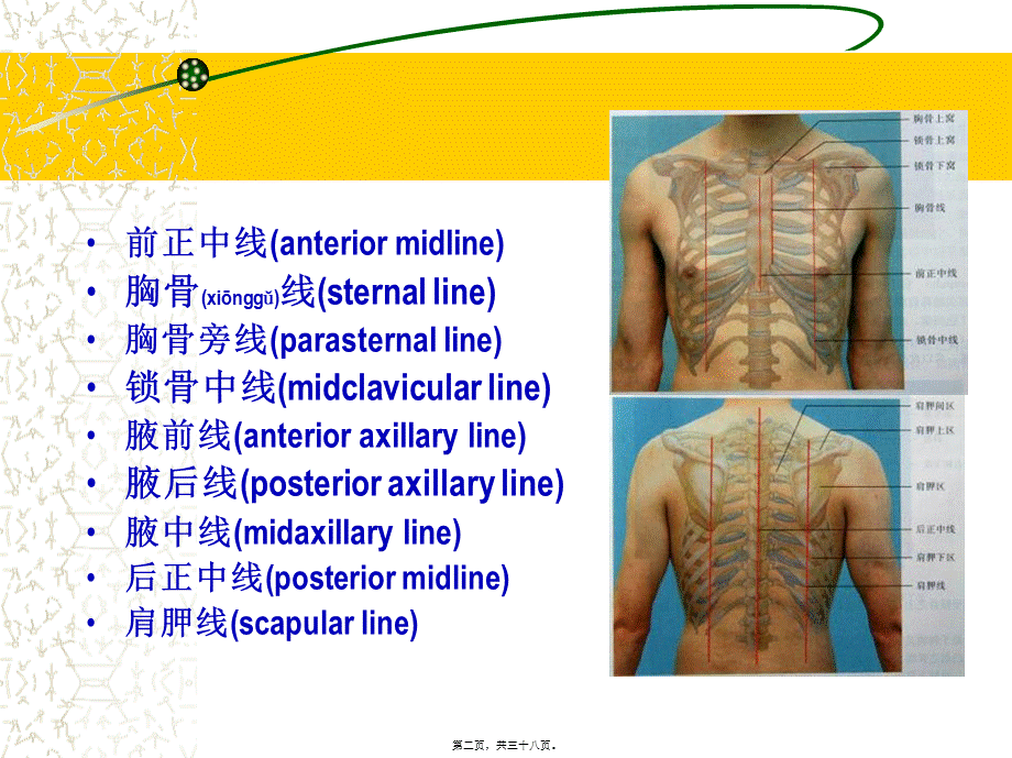 2022年医学专题—胸部体格检查(1).ppt_第2页