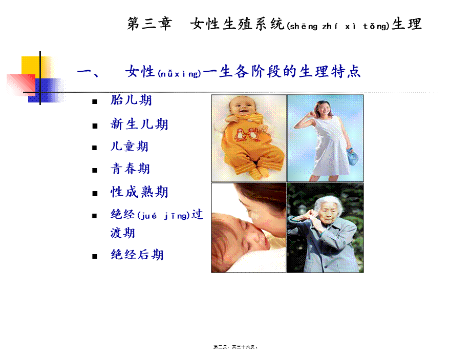 2022年医学专题—女性内分泌激素基础知识(1).ppt_第2页