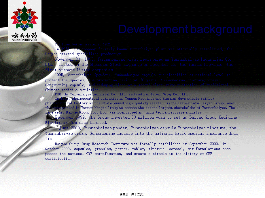 2022年医学专题—云南白药集团股份有限公司英文版(1).ppt_第3页