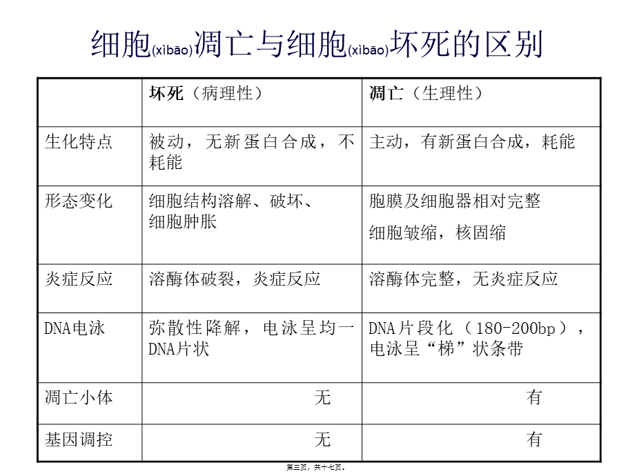 2022年医学专题—细胞凋亡的信号通路(1).ppt_第3页