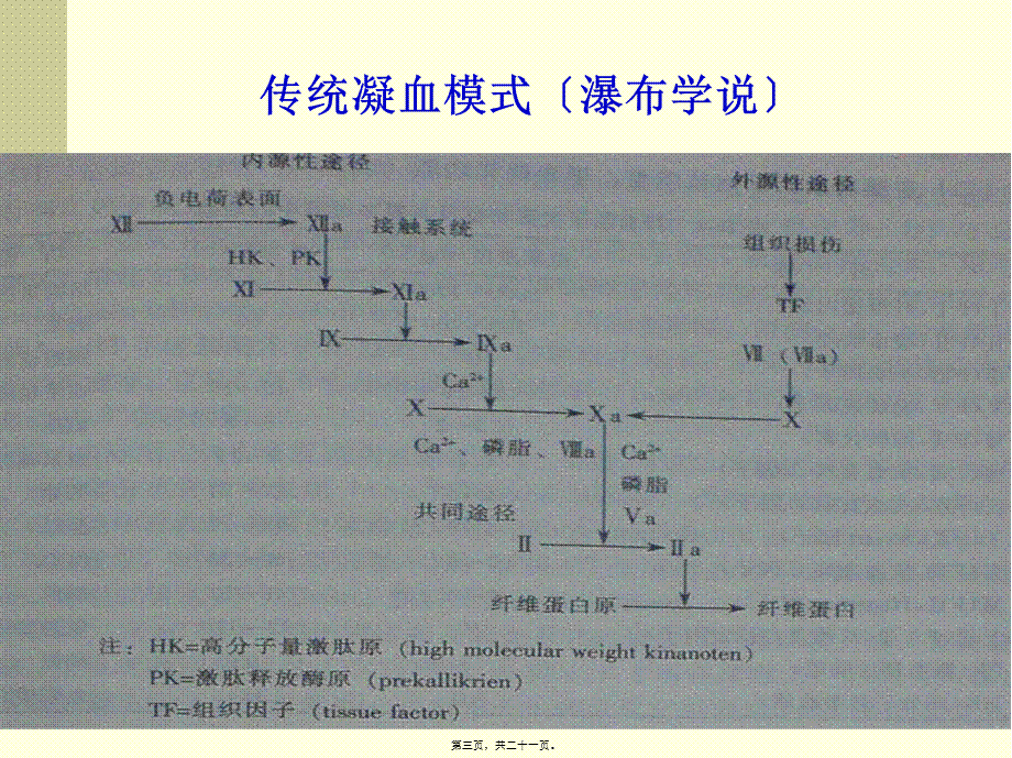 出凝血功能异常患者的术前评估和准备(1).pptx_第3页