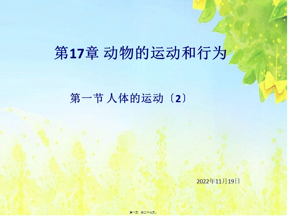 人体的运动(2)(1).ppt_第1页