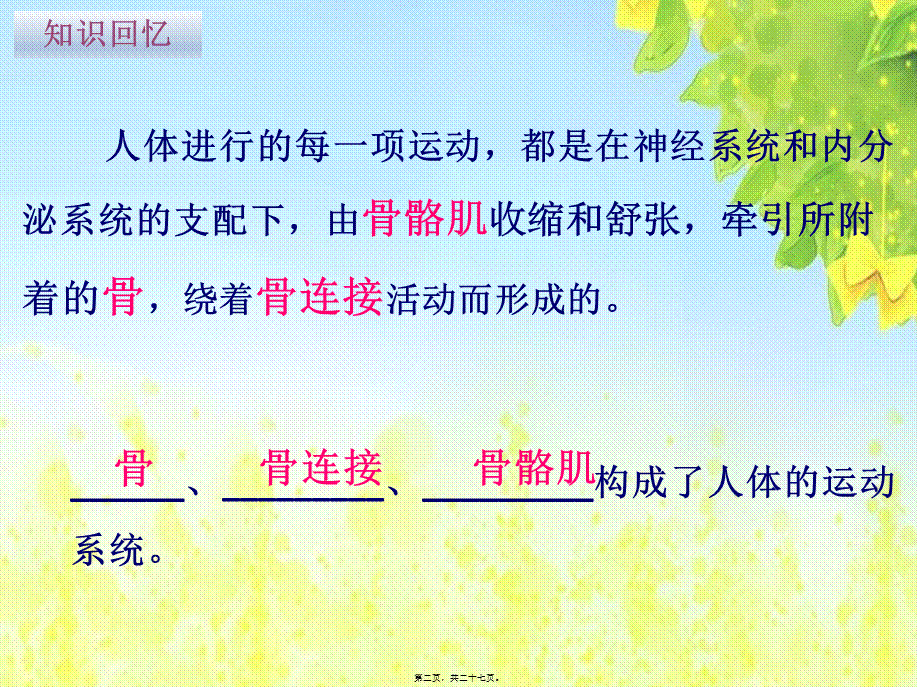 人体的运动(2)(1).ppt_第2页