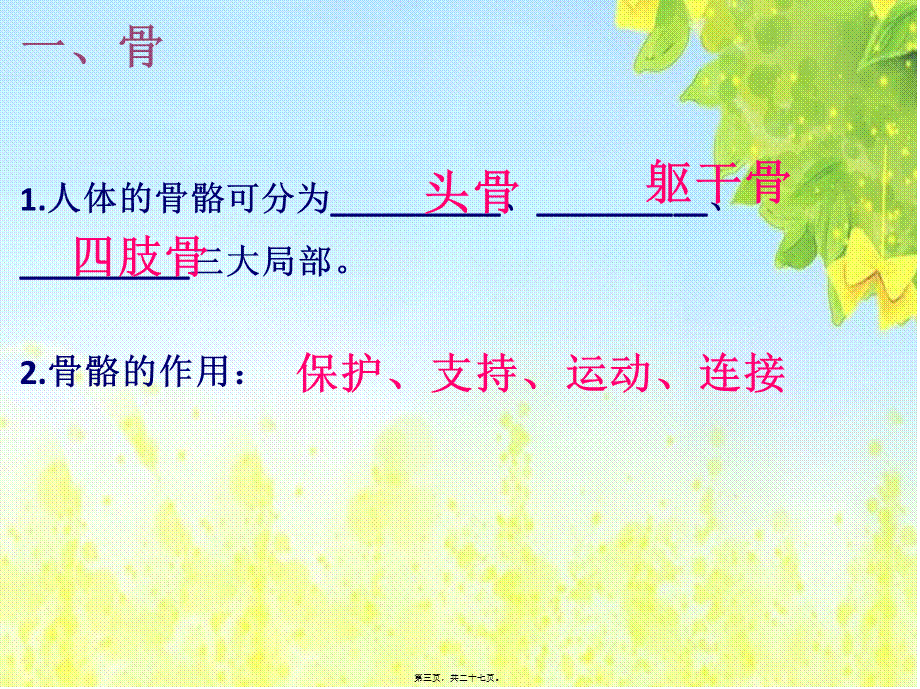 人体的运动(2)(1).ppt_第3页