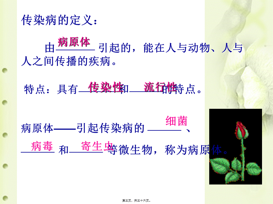 传染病和免疫复习(1).pptx_第3页