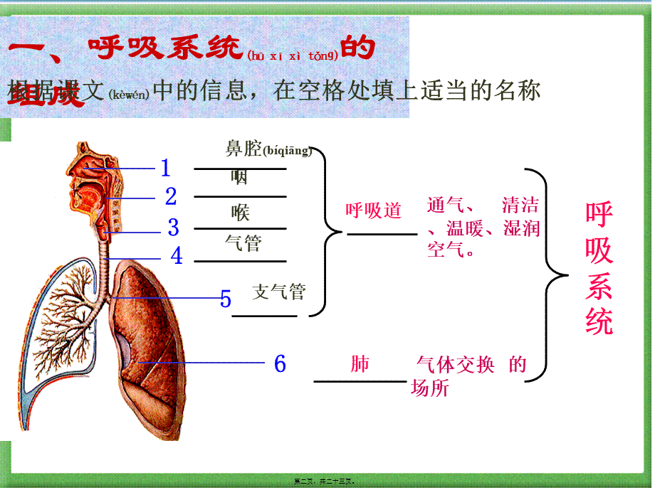 2022年医学专题—人体的呼吸PPT(1).ppt_第2页