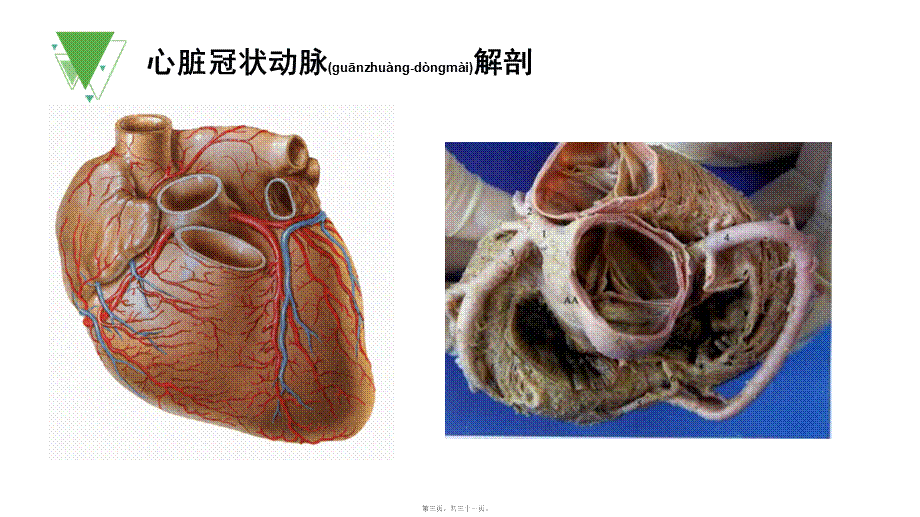 2022年医学专题—心脏冠脉CTA(1).ppt_第3页